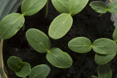 Similar image 20981320