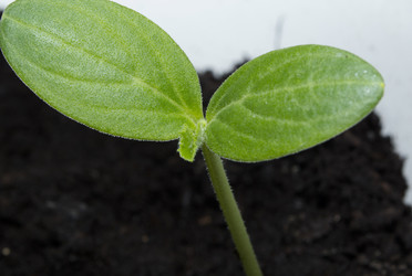 Similar image 20981321