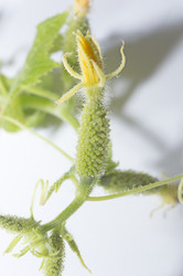 Similar image 20981322