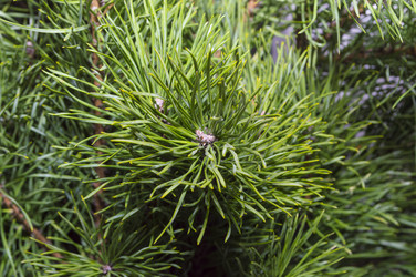 Similar image 20994894