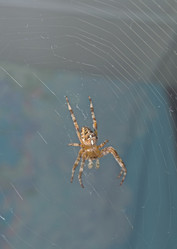 Similar image 20983170