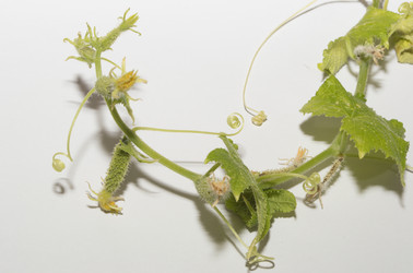 Similar image 20983172