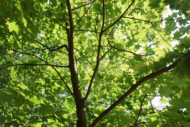 Similar image 20982811