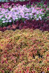 Similar image 20984553