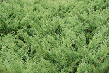 Similar image 20982812