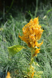 Similar image 20982814