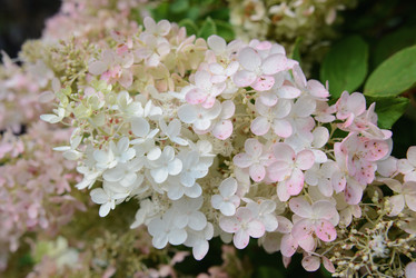 Similar image 20984554