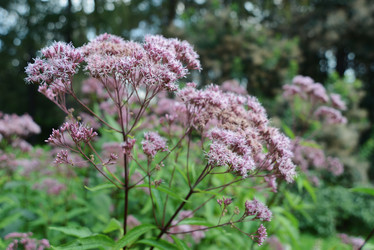 Similar image 20984555