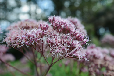 Similar image 21004872