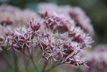 Similar image 20992646