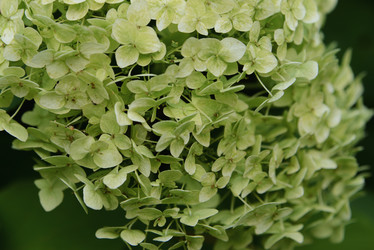 Similar image 20989108