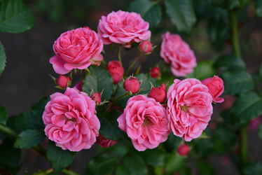 Similar image 20989109