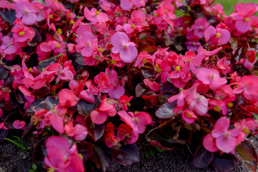 Similar image 20989111