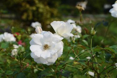 Similar image 20991739