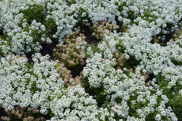 Similar image 21000737