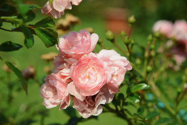 Similar image 20998376