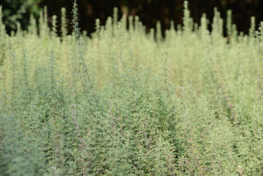 Similar image 20987499