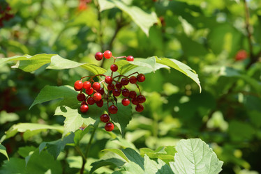 Similar image 21011654