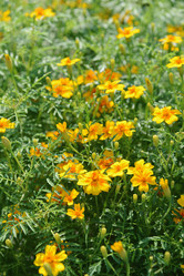 Similar image 20989112