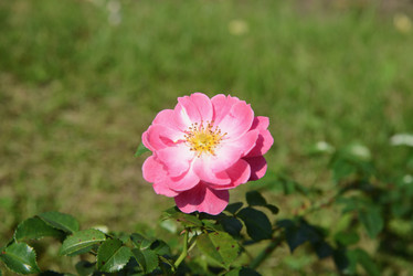 Similar image 20991740