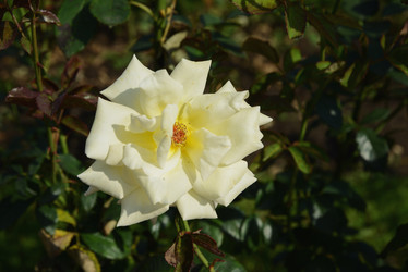 Similar image 20991741