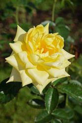 Similar image 21016388