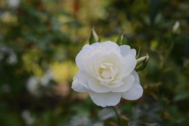 Similar image 20984557