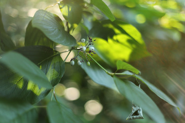 Similar image 20987077