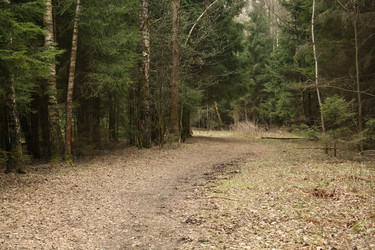 Similar image 20982962