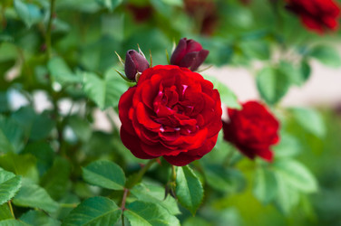 Similar image 20984558