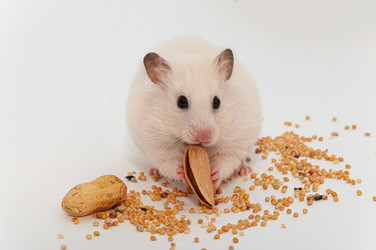 Similar image 20982816