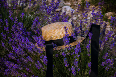 Similar image 20987089