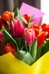 Similar image 20982817