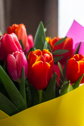 Similar image 20982819