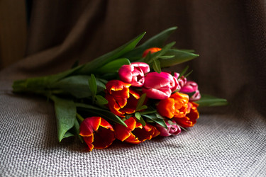 Similar image 20982822