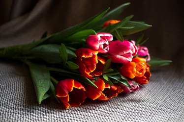 Similar image 20982823