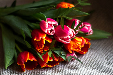 Similar image 20982824