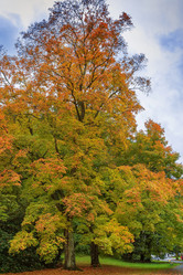 Similar image 20988200