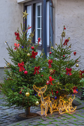 Similar image 20988330