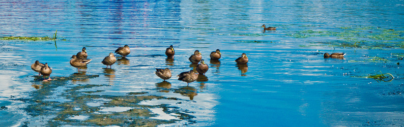 Similar image 20989356