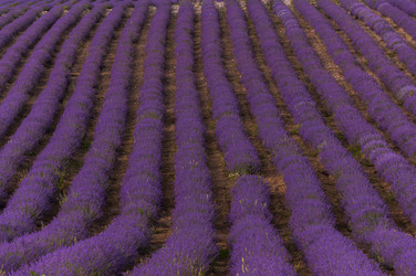 Similar image 20987219