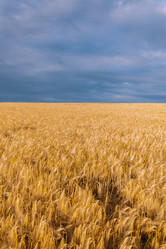 Similar image 20987547