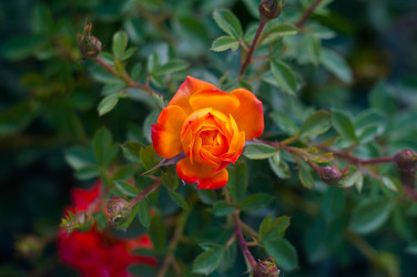 Similar image 20987549