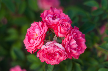 Similar image 20987550