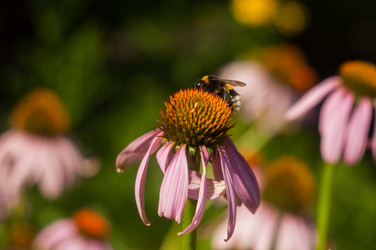 Similar image 20987552