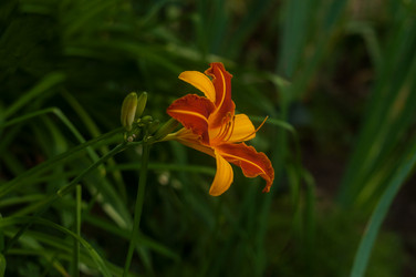 Similar image 20998110