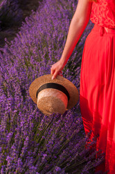 Similar image 20987432