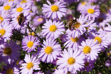 Similar image 20998179