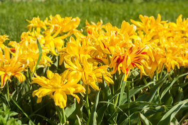 Similar image 20998180