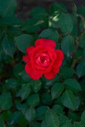 Similar image 20998183